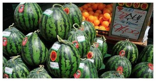 韩城吃瓜网红是谁啊图片,网络红人的崛起之路