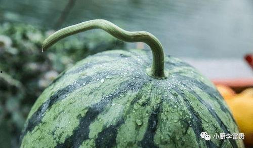 网红小鱼棠吃瓜视频,带你领略幕后真相