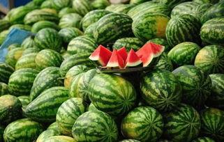 甘南网红吃瓜事件真相,揭秘背后真相与反思