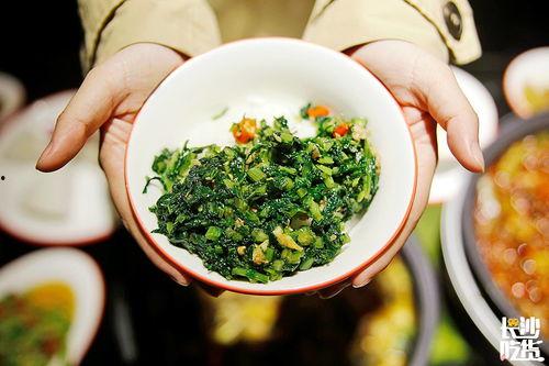 吃瓜蛙网密,带你走进神秘的网络世界