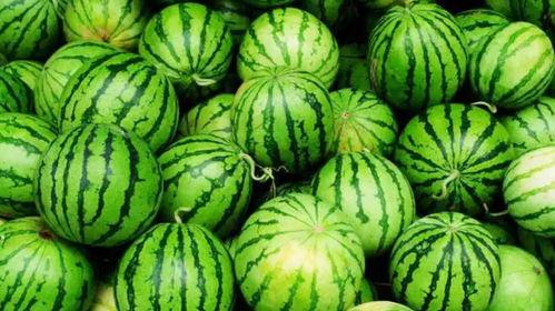 吃网爆瓜,揭秘娱乐圈最新热点事件