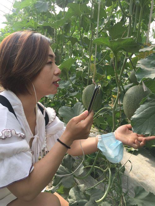 吃瓜各类名字网红叫什么,揭秘网红们的花式昵称