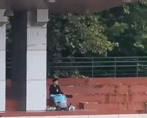 荷兰网红吃瓜事件视频大全,视频大全揭秘幕后真相