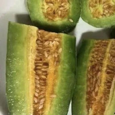 吃瓜网红 图片头像