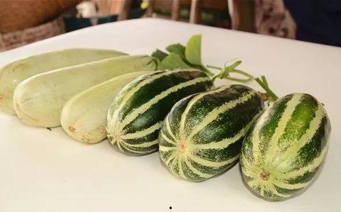 鹤壁浚县网红吃瓜,揭秘当地美食文化新风尚