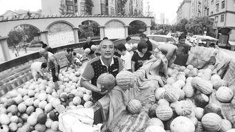 朝阳群众热心吃瓜网,揭秘网络热点背后的故事